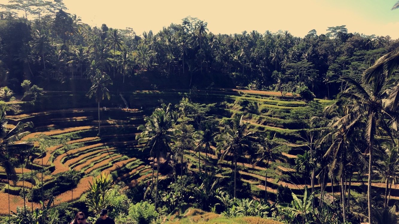 Bali, Indonesia – The Island of the Gods